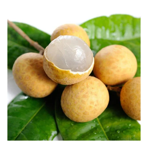 FRESH LONGAN