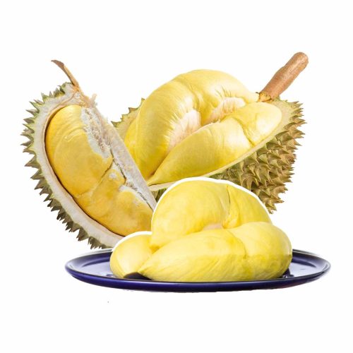 FRESH DURIAN